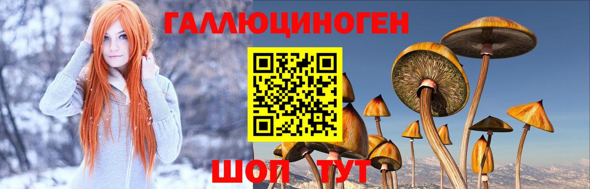 Азнакаево  Галлюциногенные грибы MAGIC MUSHROOMS  Вход с VPN 